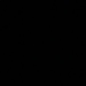 Meet your Posher, Antonio